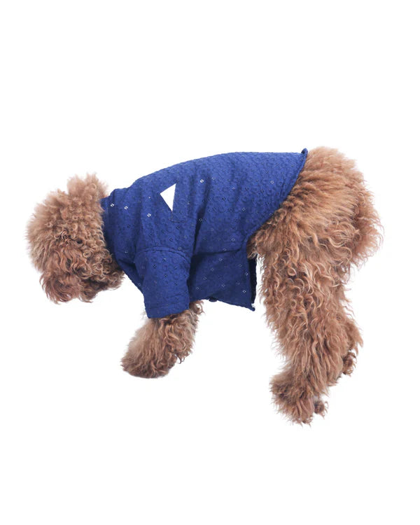 Royal Blue Dog Sherwani