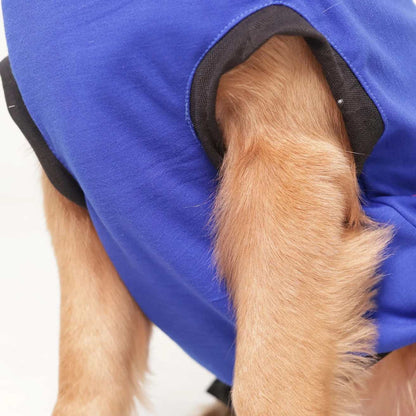 I Give Free Kisses Printed Dog T-Shirt | Cute Casual Wear (Blue)