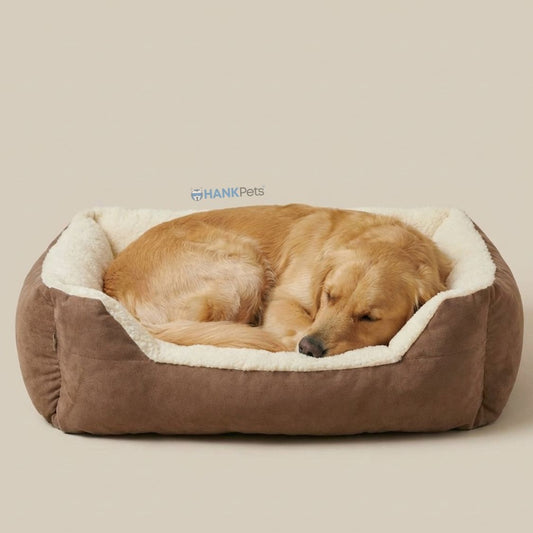 Paw Heaven Pet Bed | Ultra Soft Dog & Cat Bed