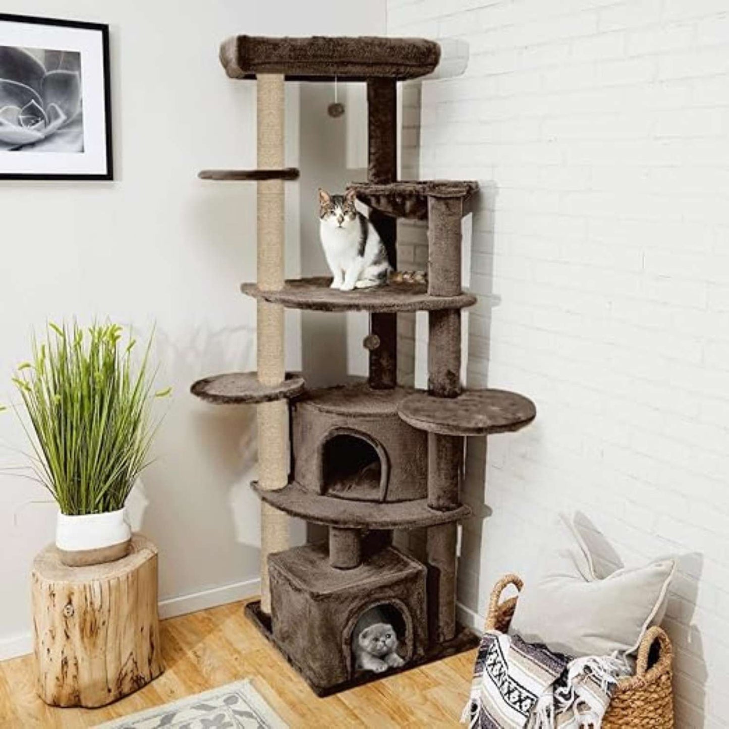 Multi-Level Cat Tree for Indoor Cats | Large Cat Tower with Condo, Top Bed & Scratching Posts (80 INCH)