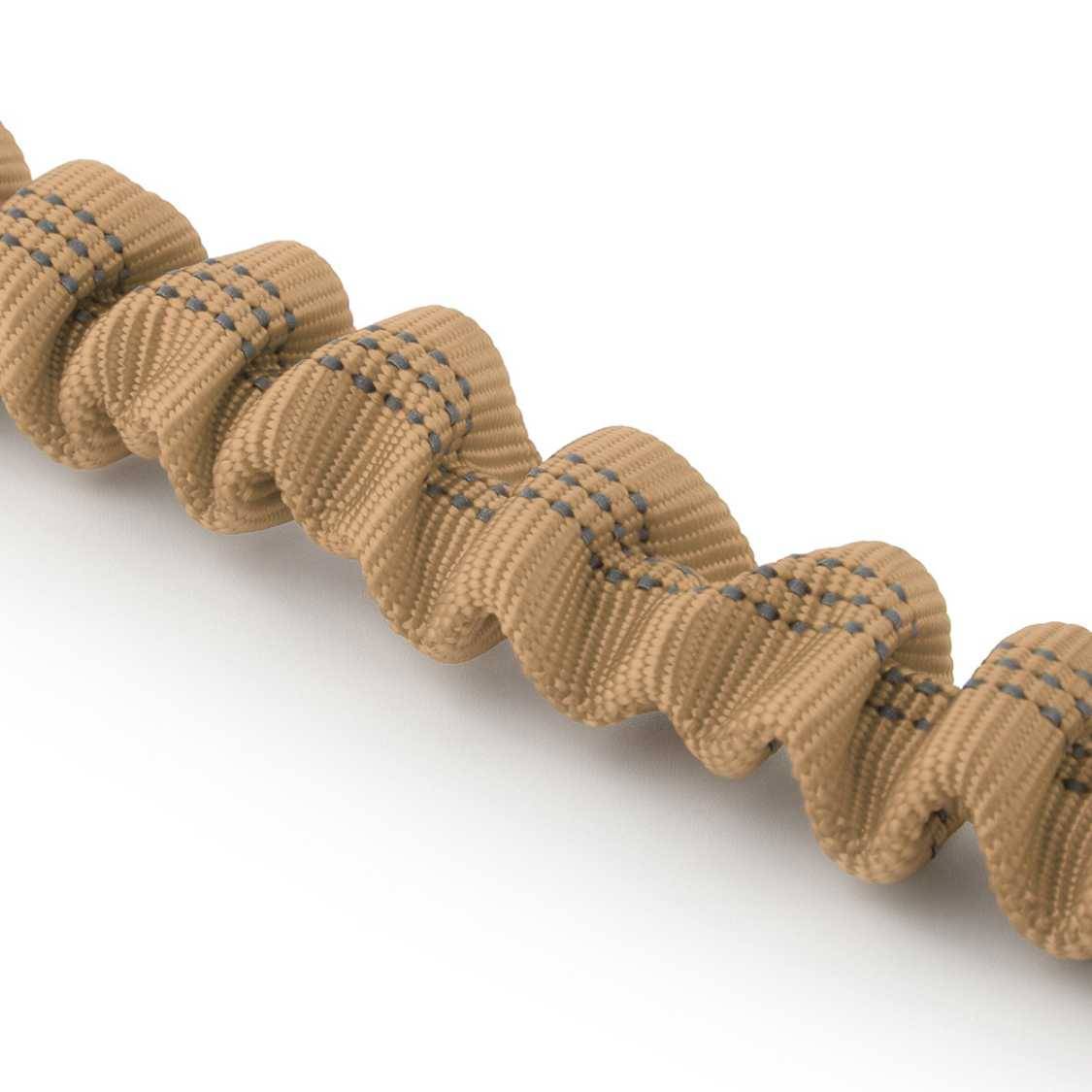 Bungee Leash