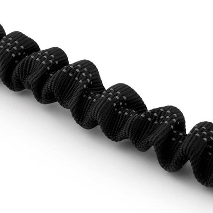 Bungee Leash