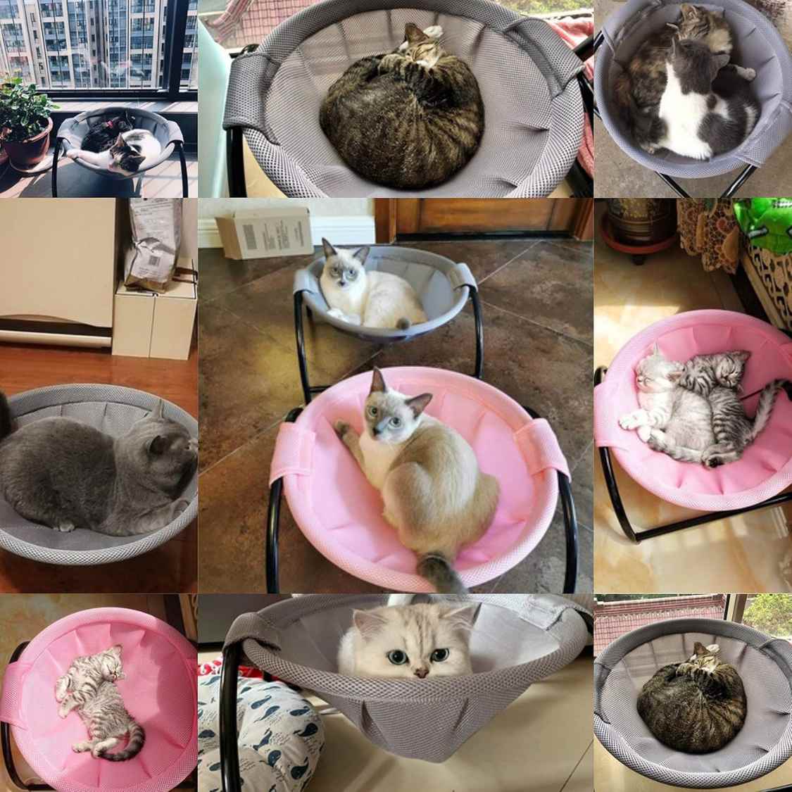 Elevated Cat Hammock Bed | Breathable & Washable