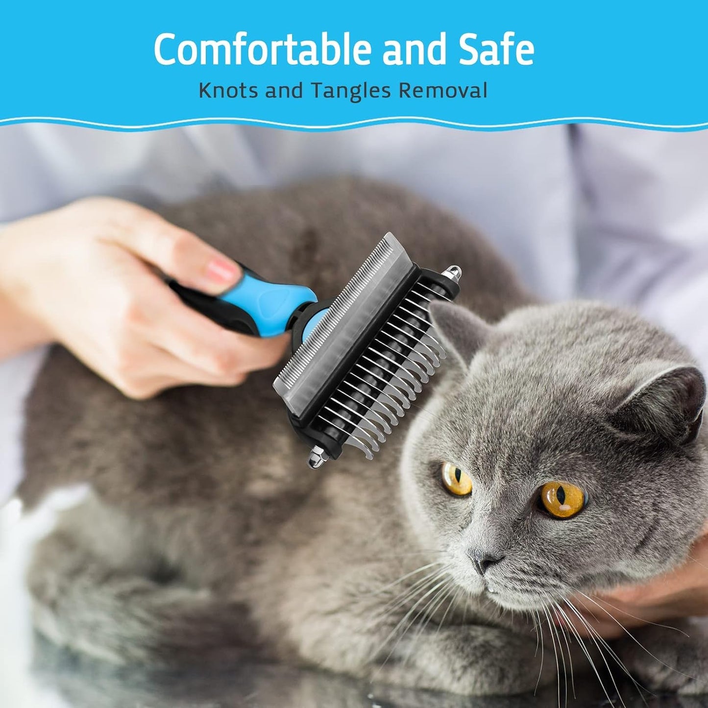 2 in 1 Pet Brush & Comb | Grooming Tool for Pet
