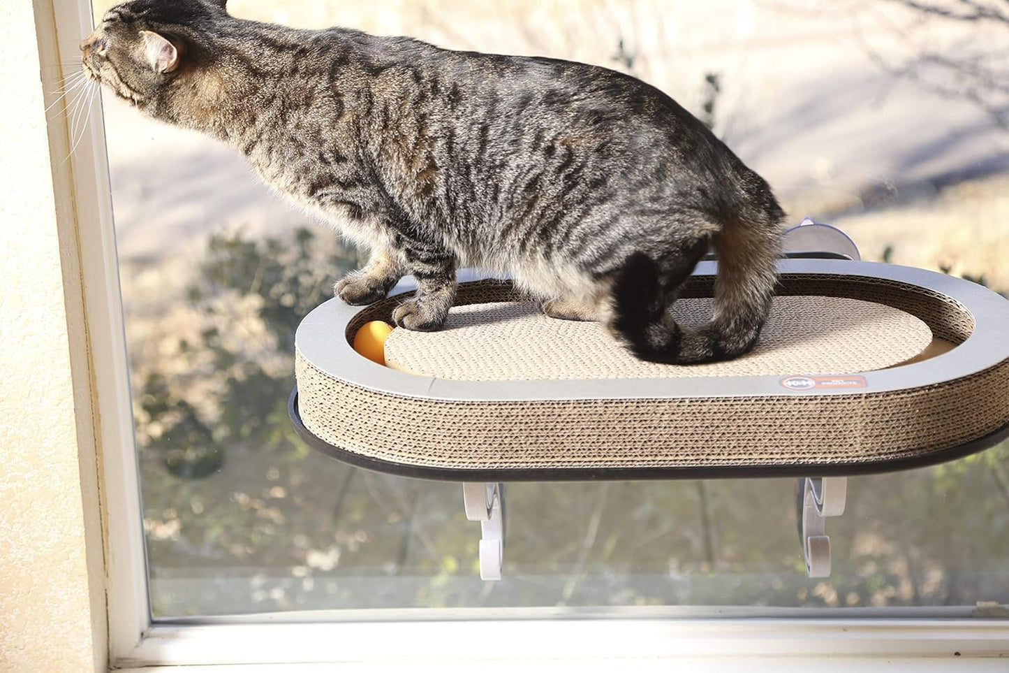 Cat Window Hammock Bed | Scratcher Pad & Ball Track Toy for Indoor Cats (14" x 24")