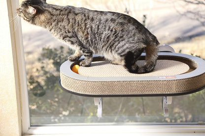 Cat Window Hammock Bed | Scratcher Pad & Ball Track Toy for Indoor Cats (14" x 24")
