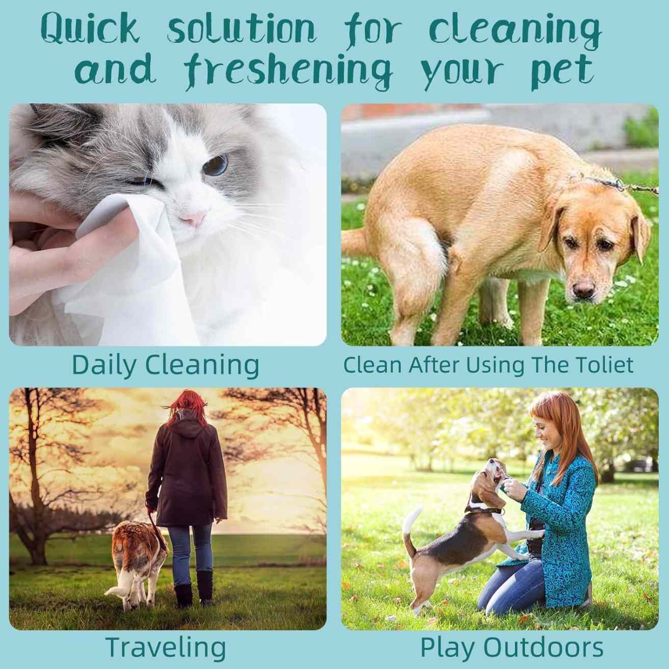 Antibacterial Pet Wet Wipes for Dogs & Cats (80 Pcs)