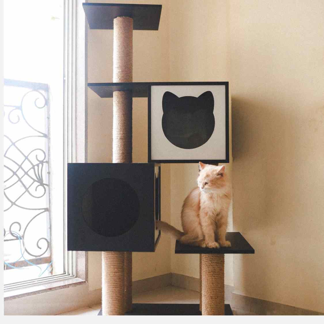 Modern Cat Tree Tower | Climb Scratch Rest & Play Indoors