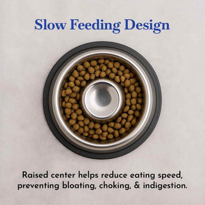 Stainless Steel Slow Feeding Dog Bowl for Pets