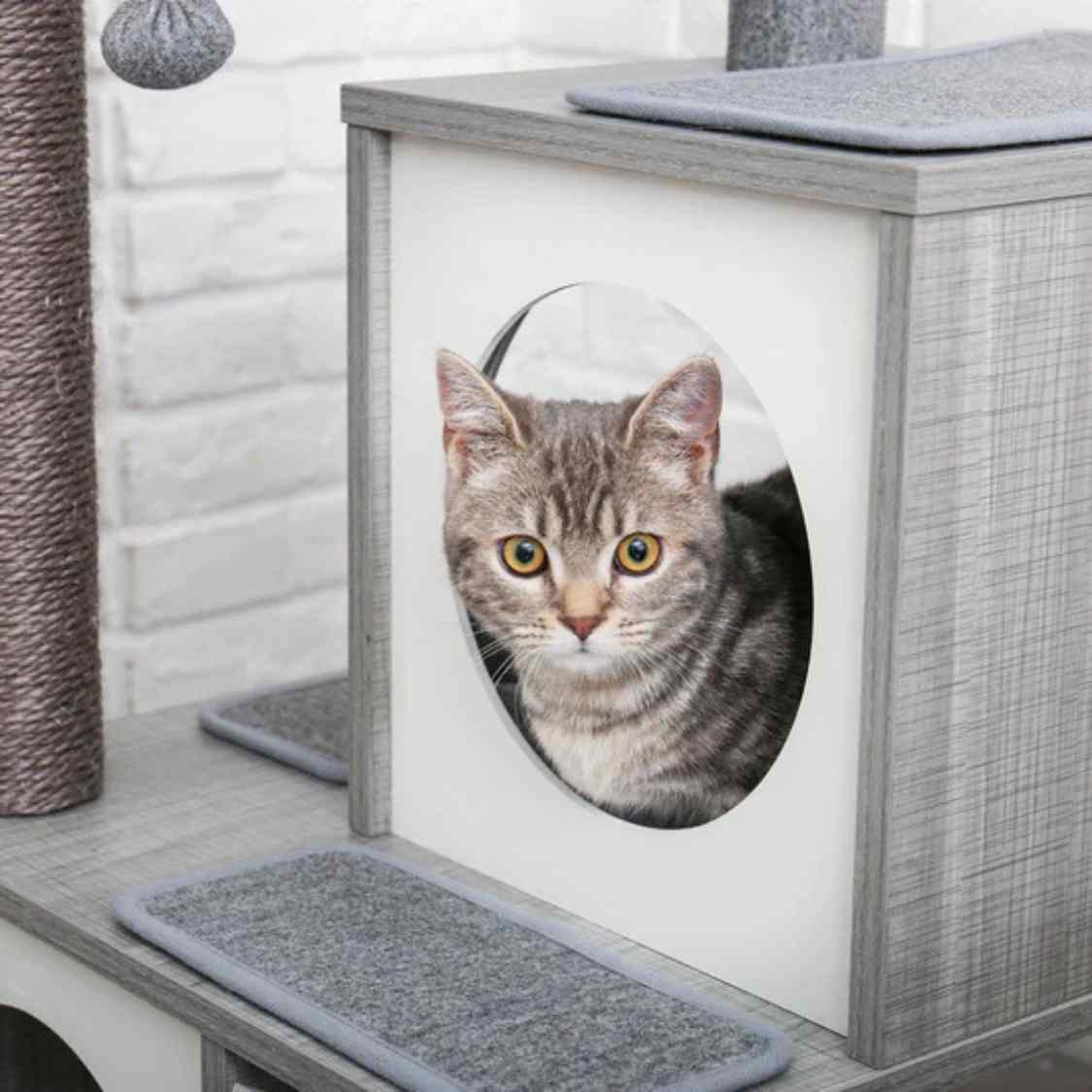Multi Level Cat Tree | Exercise Scratch & Cozy Indoor Rest For Cats
