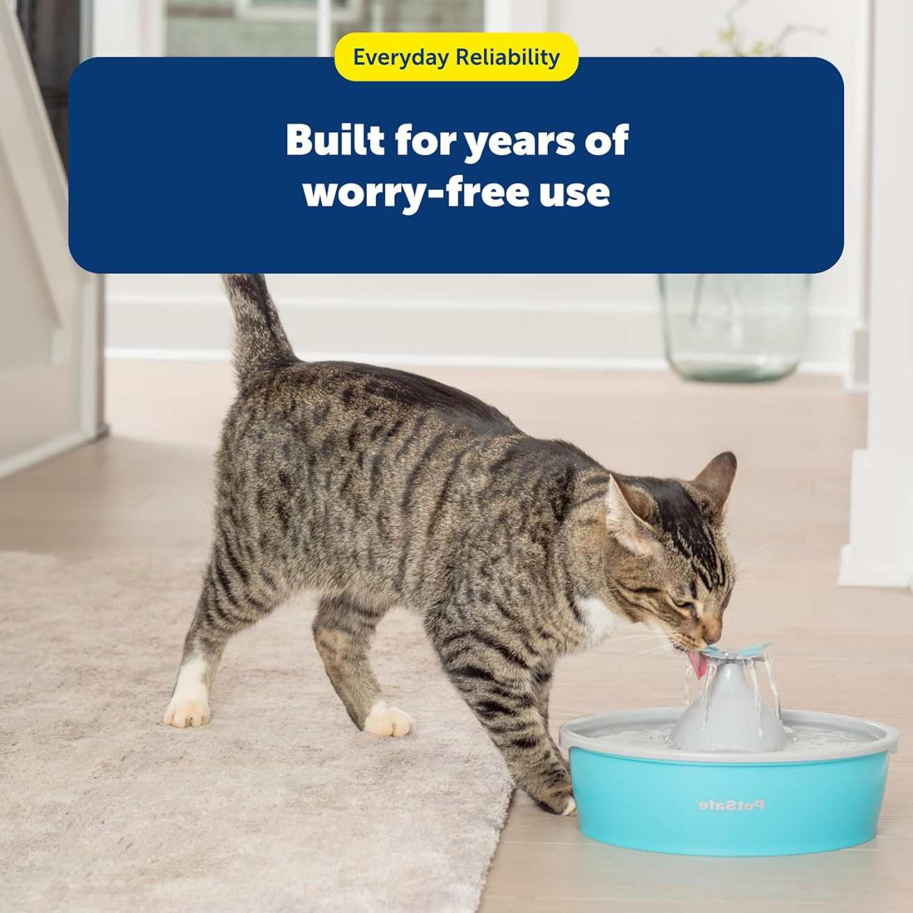 Butterfly Pet Water Fountain with Pump & Carbon Filter For Dogs & Cats | 50 oz