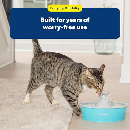 Butterfly Pet Water Fountain with Pump & Carbon Filter For Dogs & Cats | 50 oz