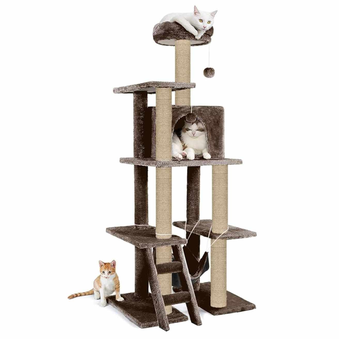 Multi-Storey Kitten Cat Tree | 60in Condo with Stairs, Hammock & Scratching Posts