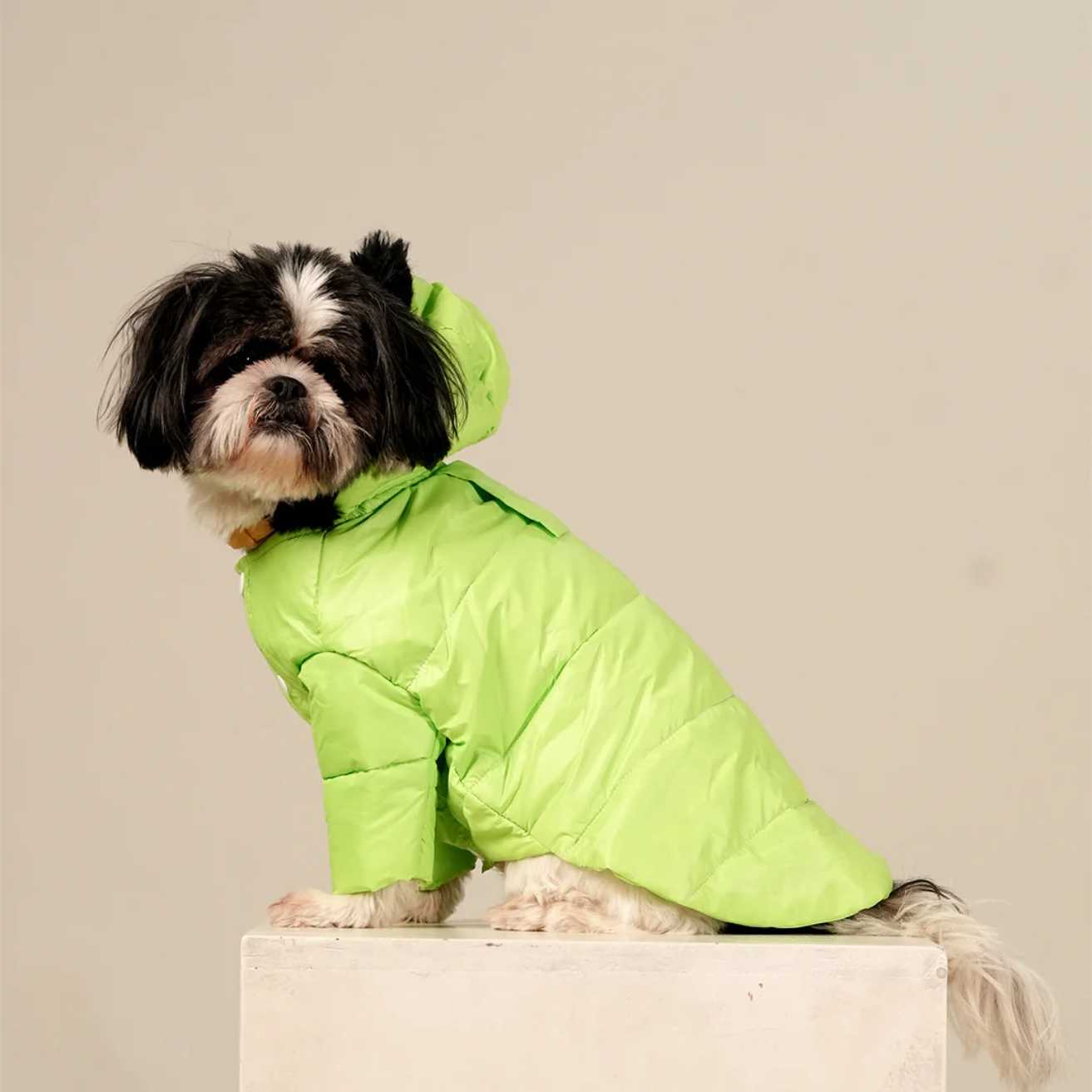 Neon Nibble Pet Hoodie | Stylish & Warm Pet Hoodie