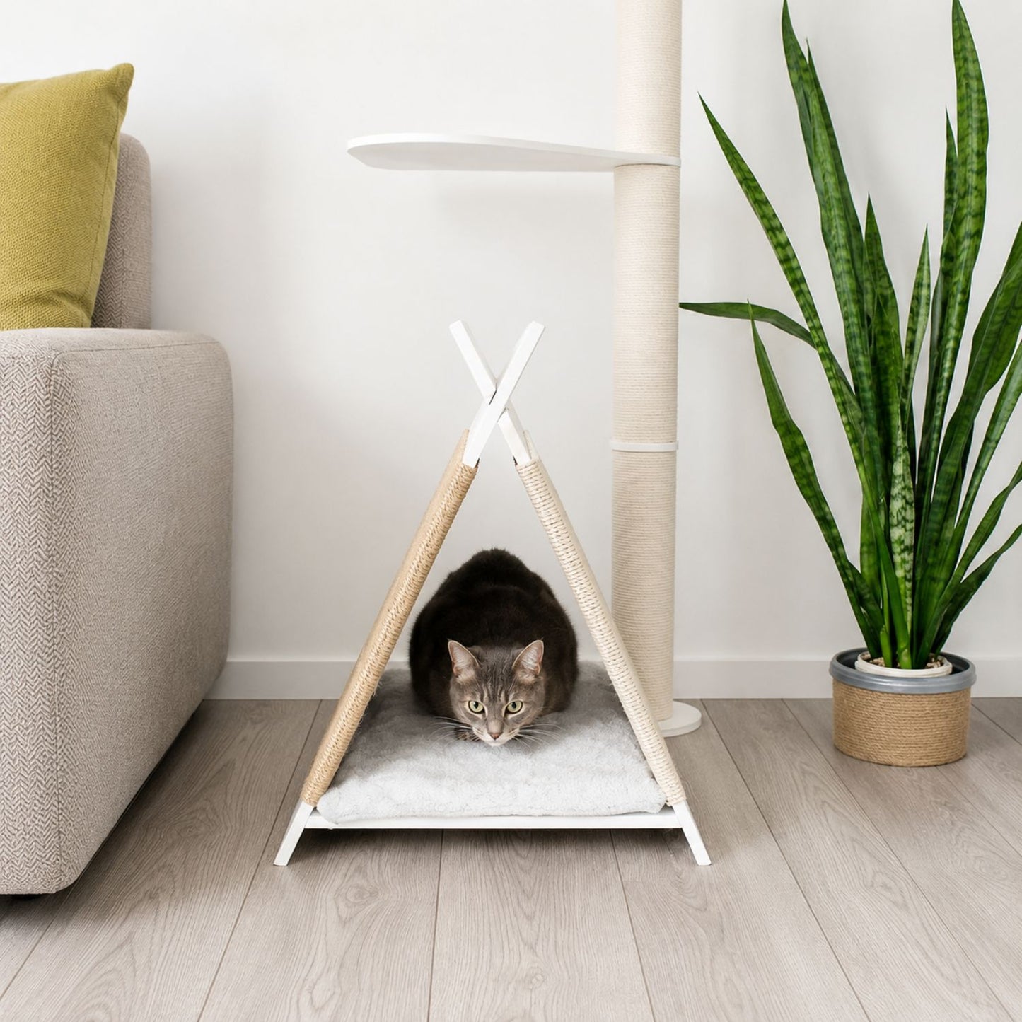ScratchNest 2-in-1 Cat Bed & Scratcher | Cozy Cat Lounger & Scratching Pad