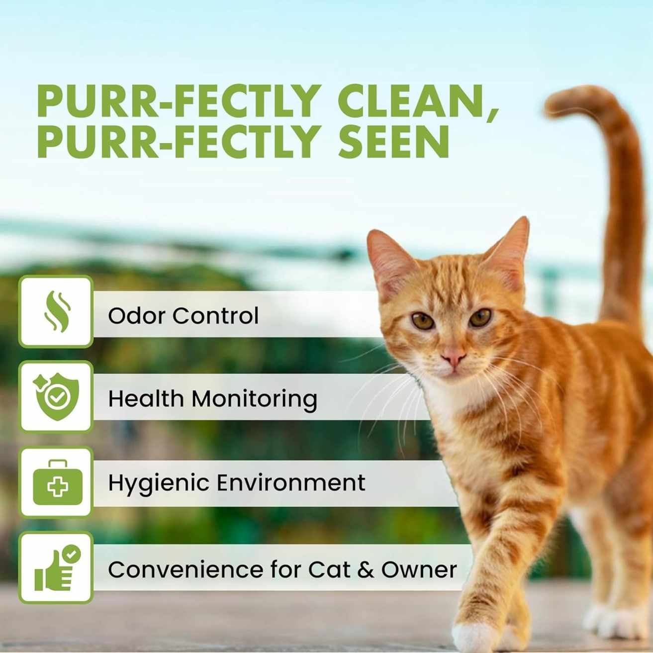 Open Cat Litter Tray | Durable, Lightweight & Easy to Clean for Kittens