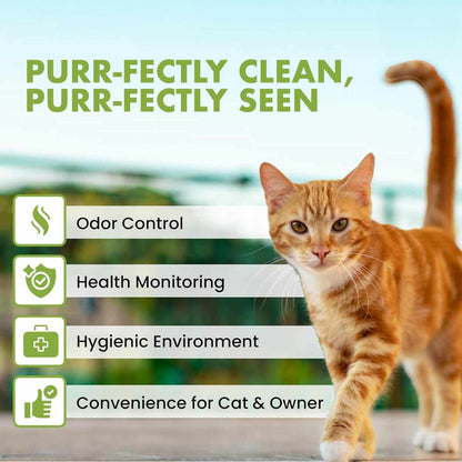 Open Cat Litter Tray | Durable, Lightweight & Easy to Clean for Kittens