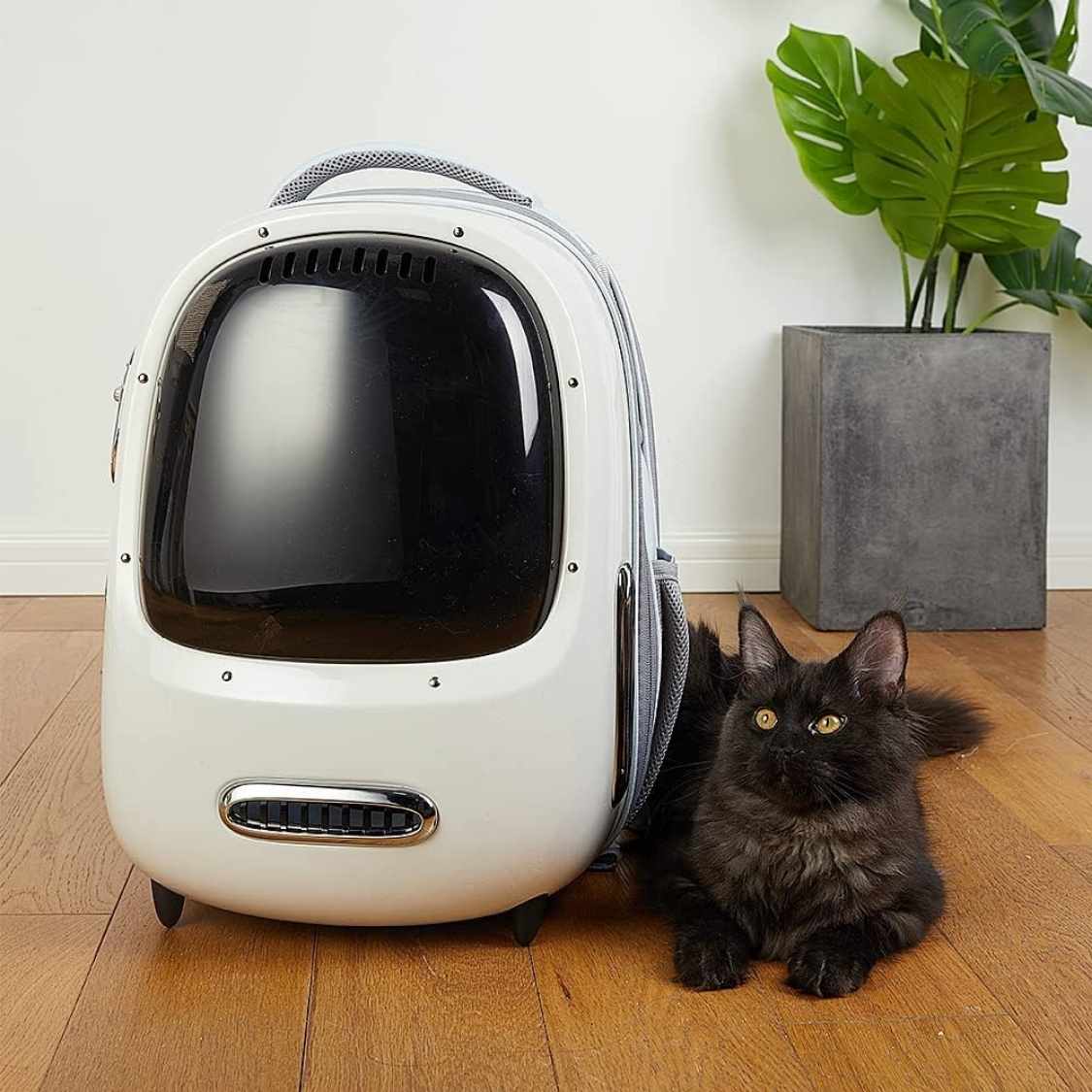 Pet Backpack Carrier With Fan & Light | Airline Approved Bubble Pet Travel Backpack