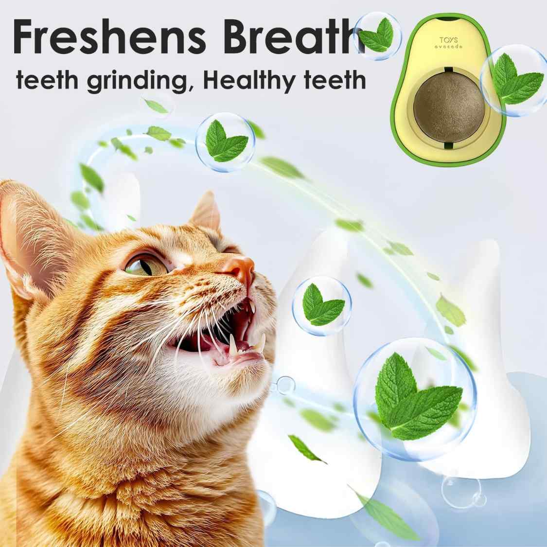 Catnip Wall Ball Toy | Rotating Dental Treat Toy for Cats