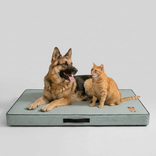 Summer Cooling Dog Bed | Orthopedic Foam Pet Bed for All Breeds