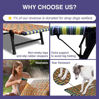 Folding Elevated Cat & Dog Bed | All Seasons Comfort with Breathable Nylon Mesh I Anti-Skid & Waterproof