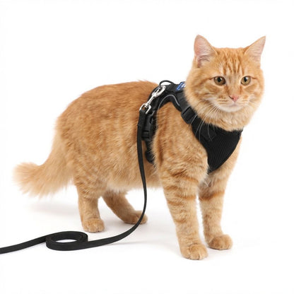 HANK Reflective Cat & Small Dog Harness With Leash For Daily Walks (Black)