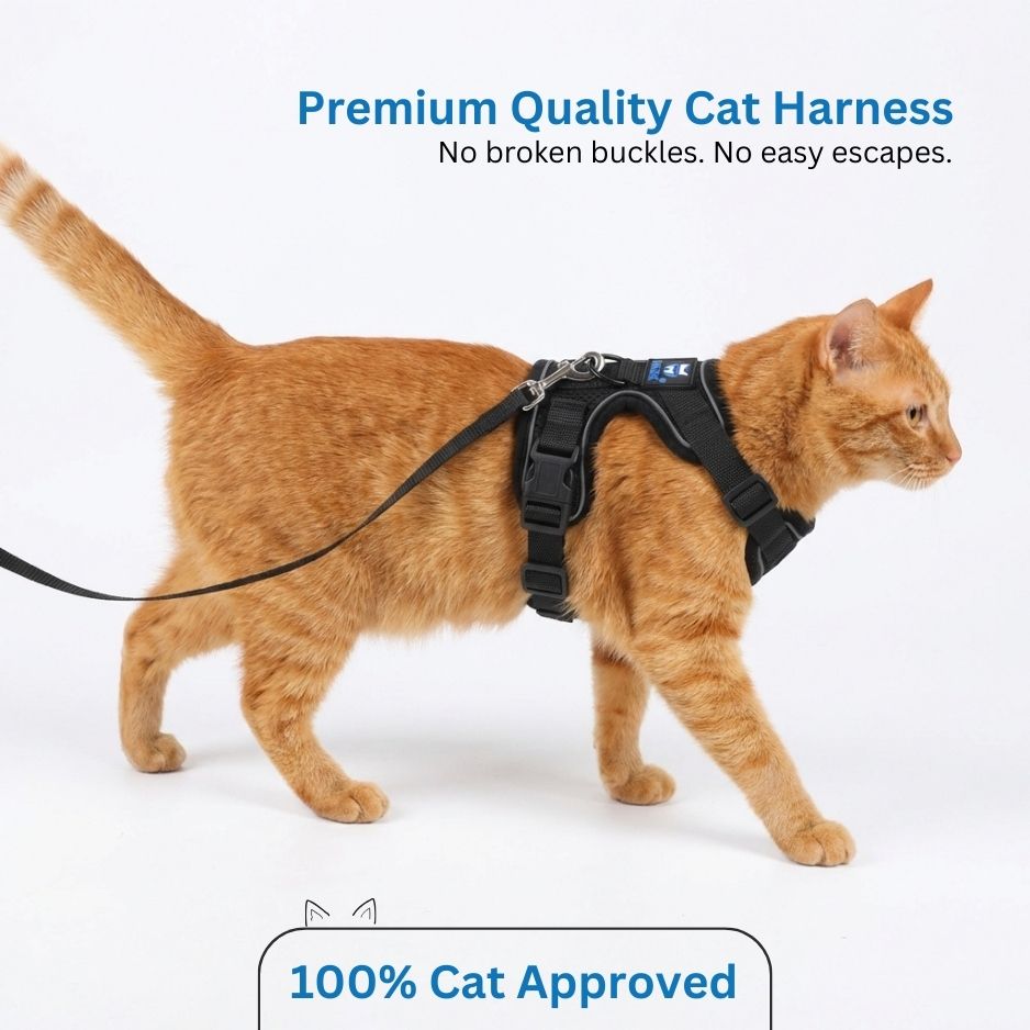 HANK Reflective Cat & Small Dog Harness With Leash For Daily Walks (Black)