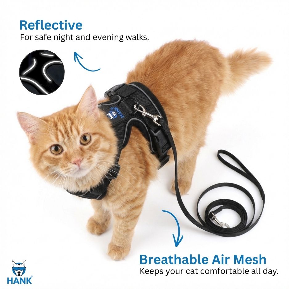 HANK Reflective Cat & Small Dog Harness With Leash For Daily Walks (Black)