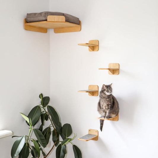 Wall Mounted Cat Shelves & Corner Climber (Brown)