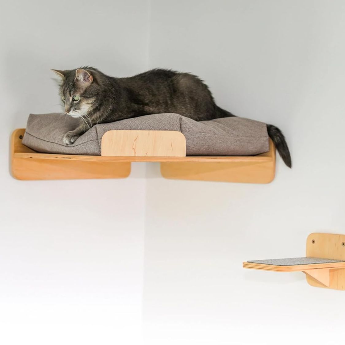 Wall Mounted Cat Shelves & Corner Climber (Brown)