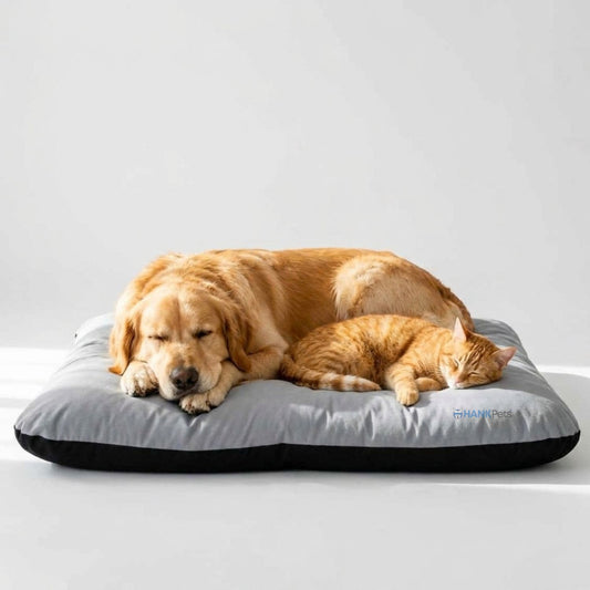 Reversible Pet Bed Washable Velvet Bed With Soft Mattress For Dogs & Cats (Grey)