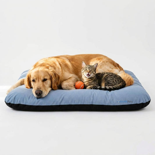 Reversible Pet Bed Washable Velvet Bed With Soft Mattress For Dogs & Cats (Blue)