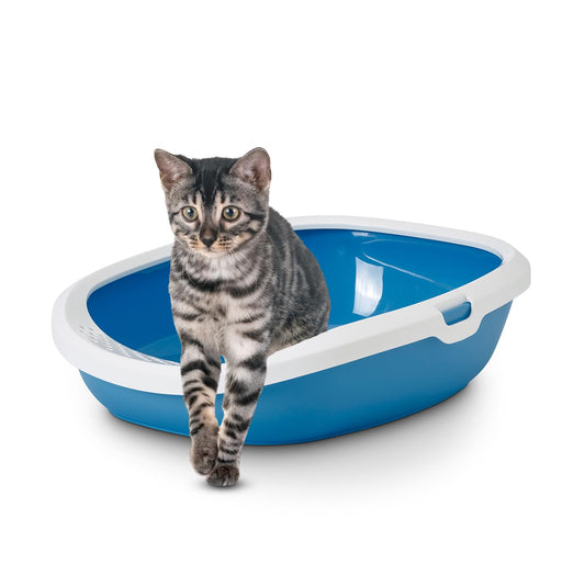 Gizmo Cat Litter Tray with Raised Rim for Cats & Kittens