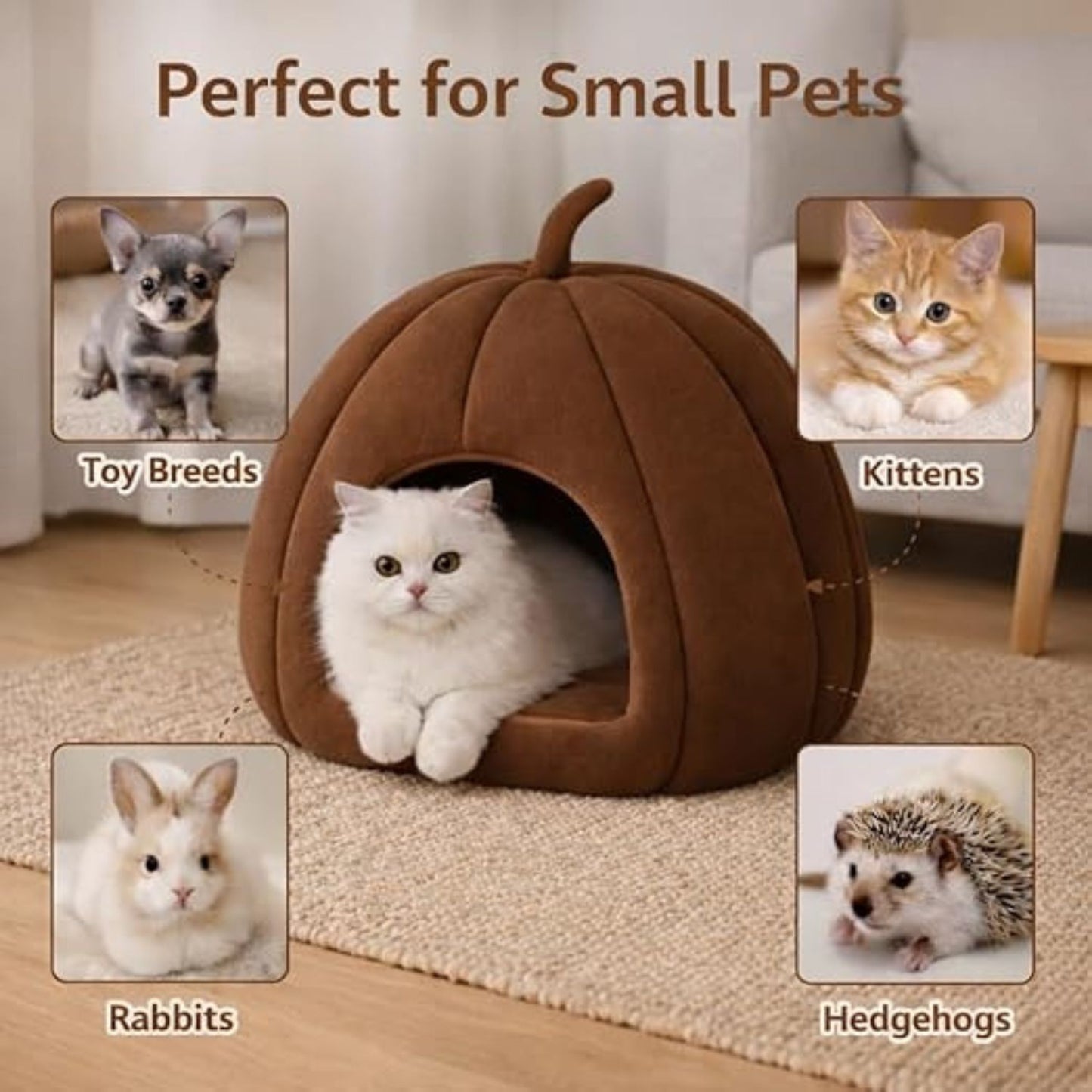 Summer Cat House – Portable 2-in-1 Cat Bed with Removable Cushion (Pumpkin Shape, Brown)