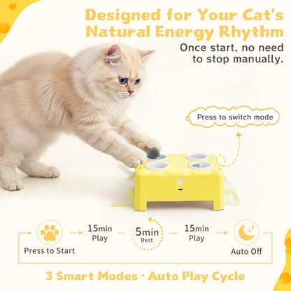 Interactive Cat Toy Magic House | Fun Mouse Puzzle Game