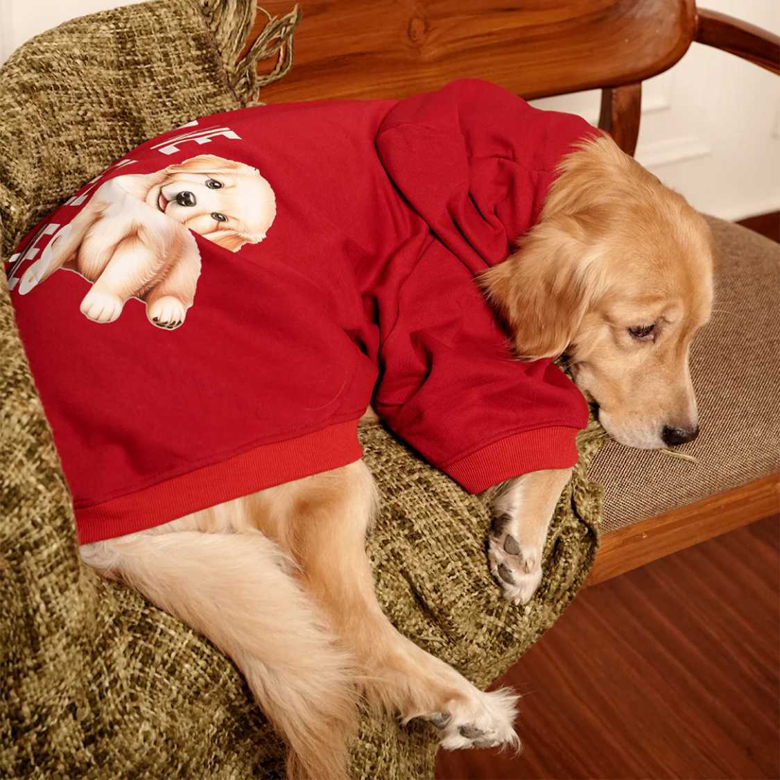 Rudolph Red Hoodie | Festive Red Winter Pet Hoodie