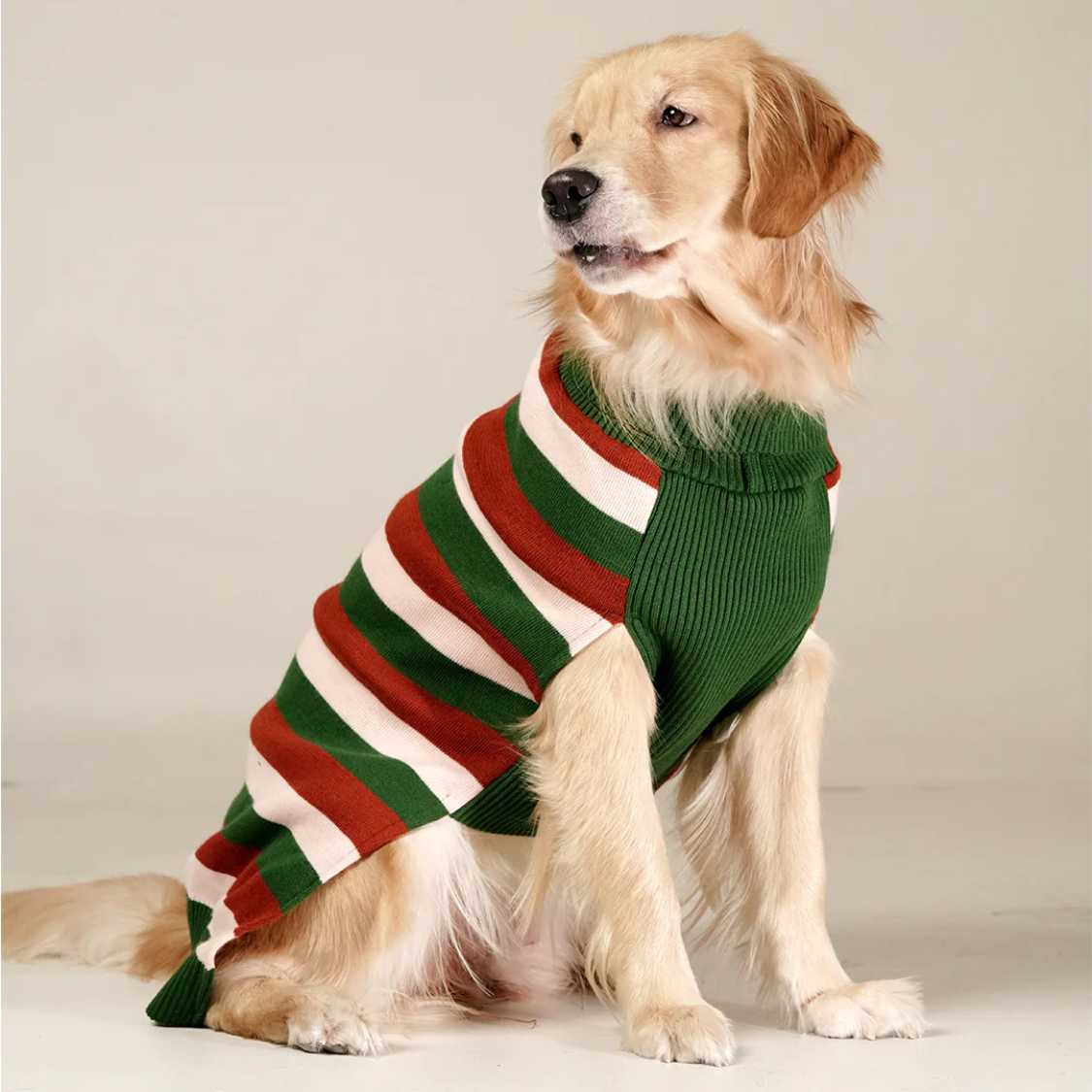 EarthBound Stripes Sweater | Classic Striped Winter Pet Sweater