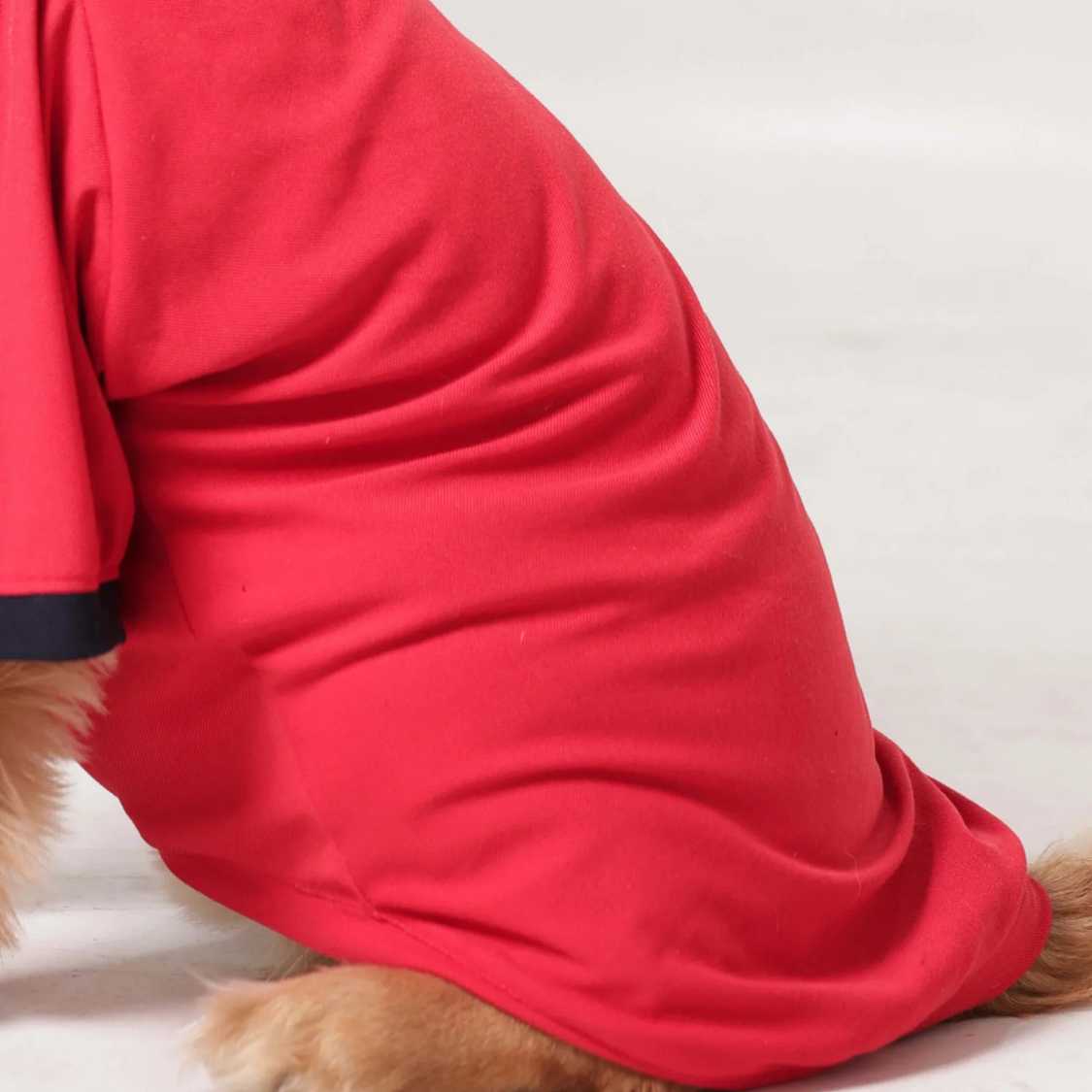 Classic Polycotton Dog T-Shirt | Soft & Breathable Everyday Dog Clothing (Red)