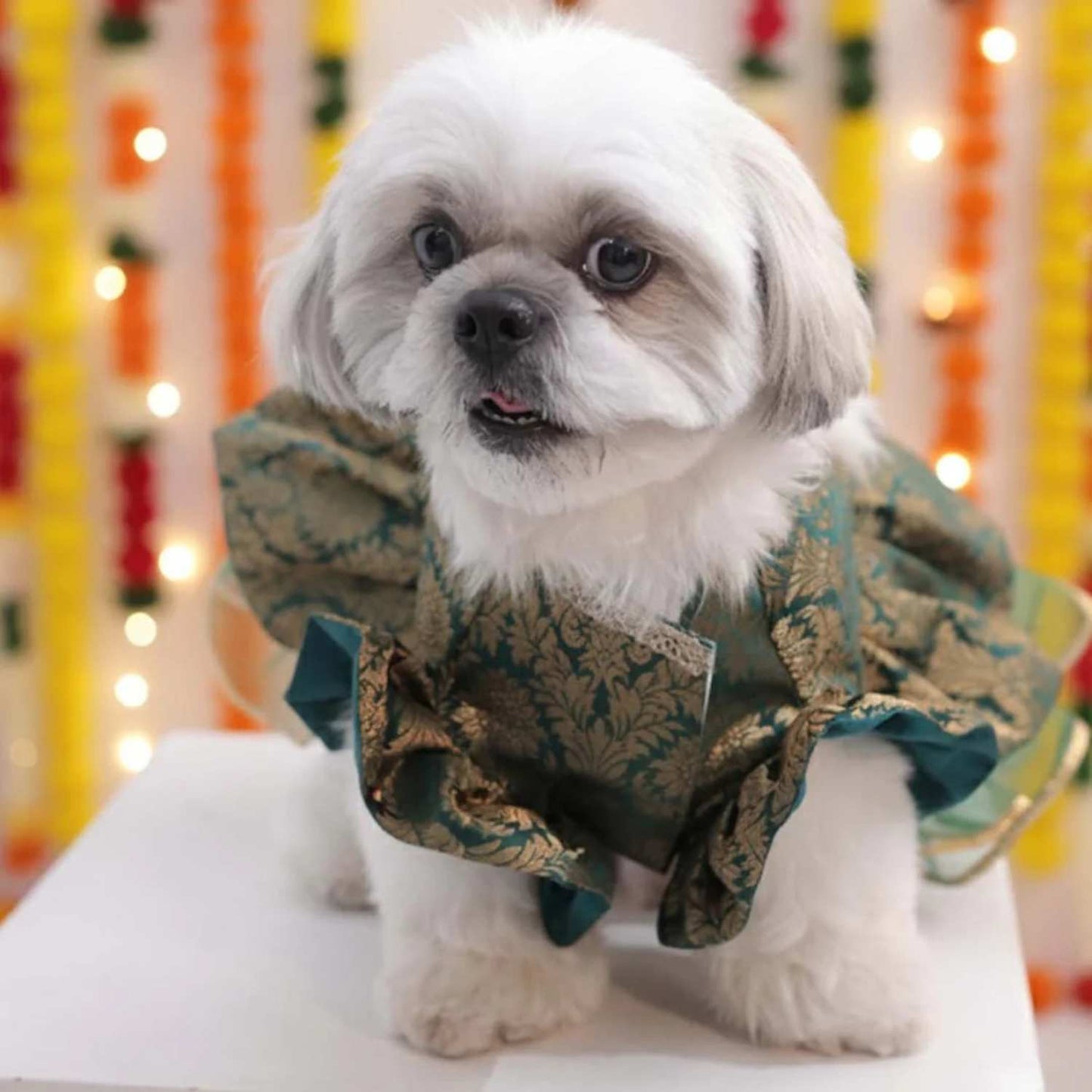Moss Magic Lehenga