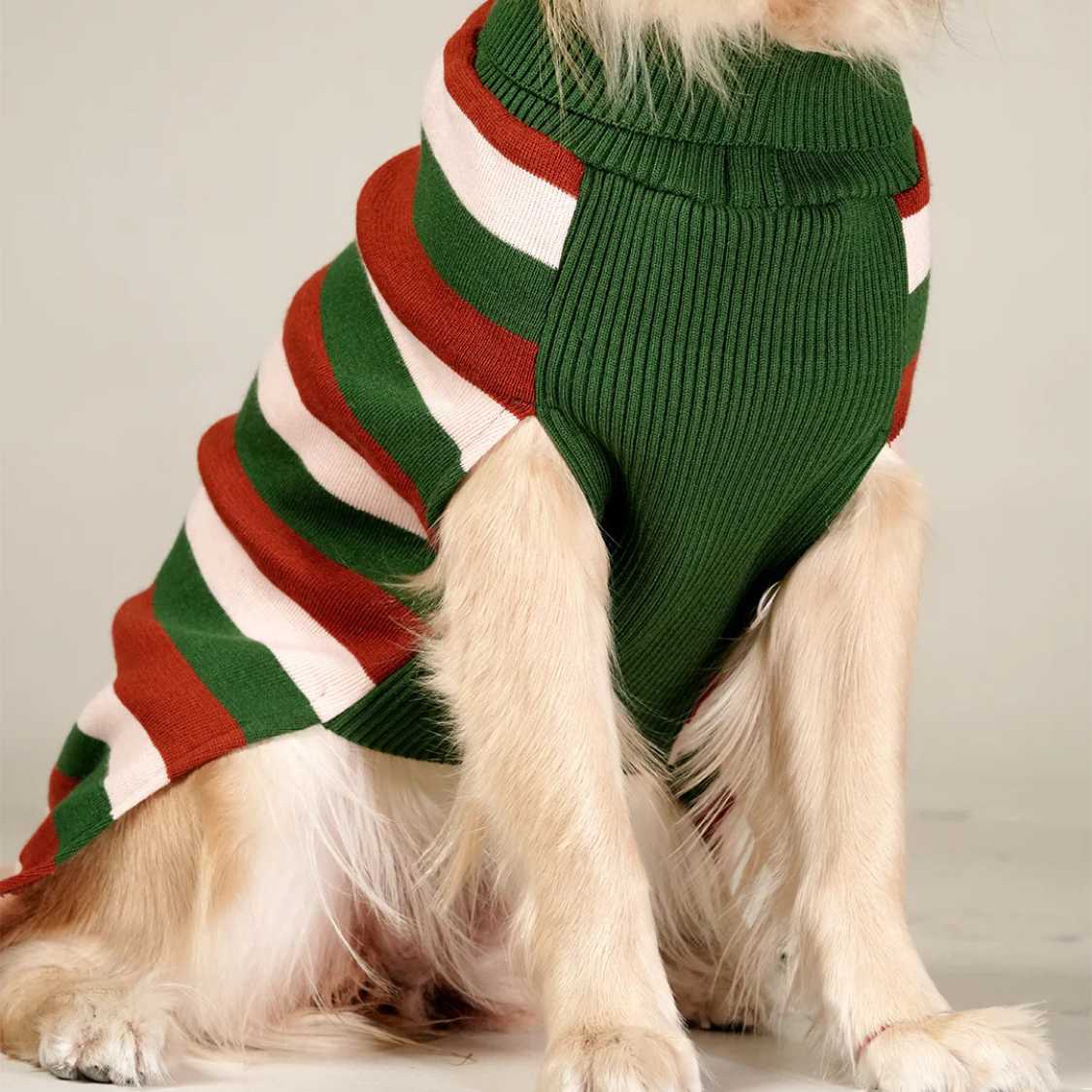 EarthBound Stripes Sweater | Classic Striped Winter Pet Sweater