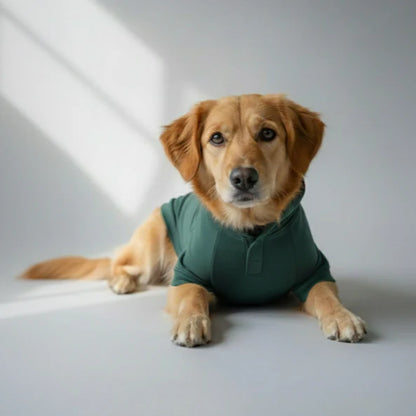 Olive Snug Hoodie | Cozy Olive Green Winter Pet Hoodie