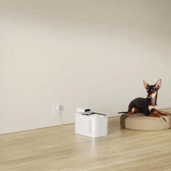 Smart Automatic Pet Water Fountain | Eversweet Max (White)