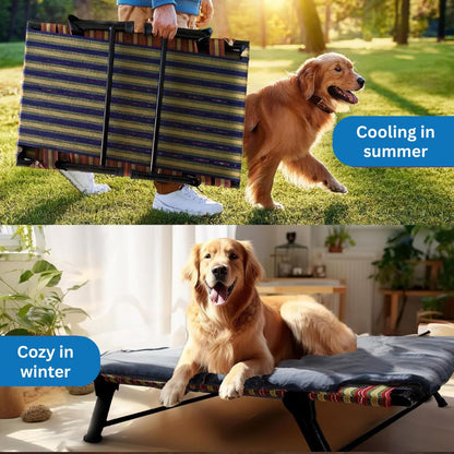 Folding Elevated Cat & Dog Bed | All Seasons Comfort with Breathable Nylon Mesh I Anti-Skid & Waterproof