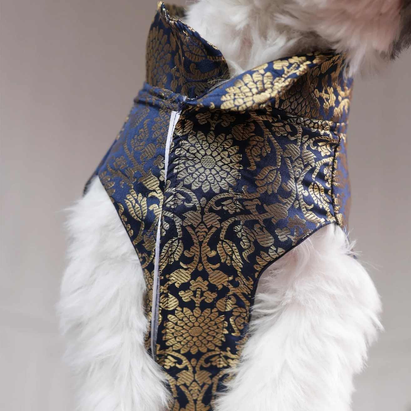 Royal Brocade Dog Kurta | Luxury Wedding & Festive Ethnic Wear (Navy & Gold)