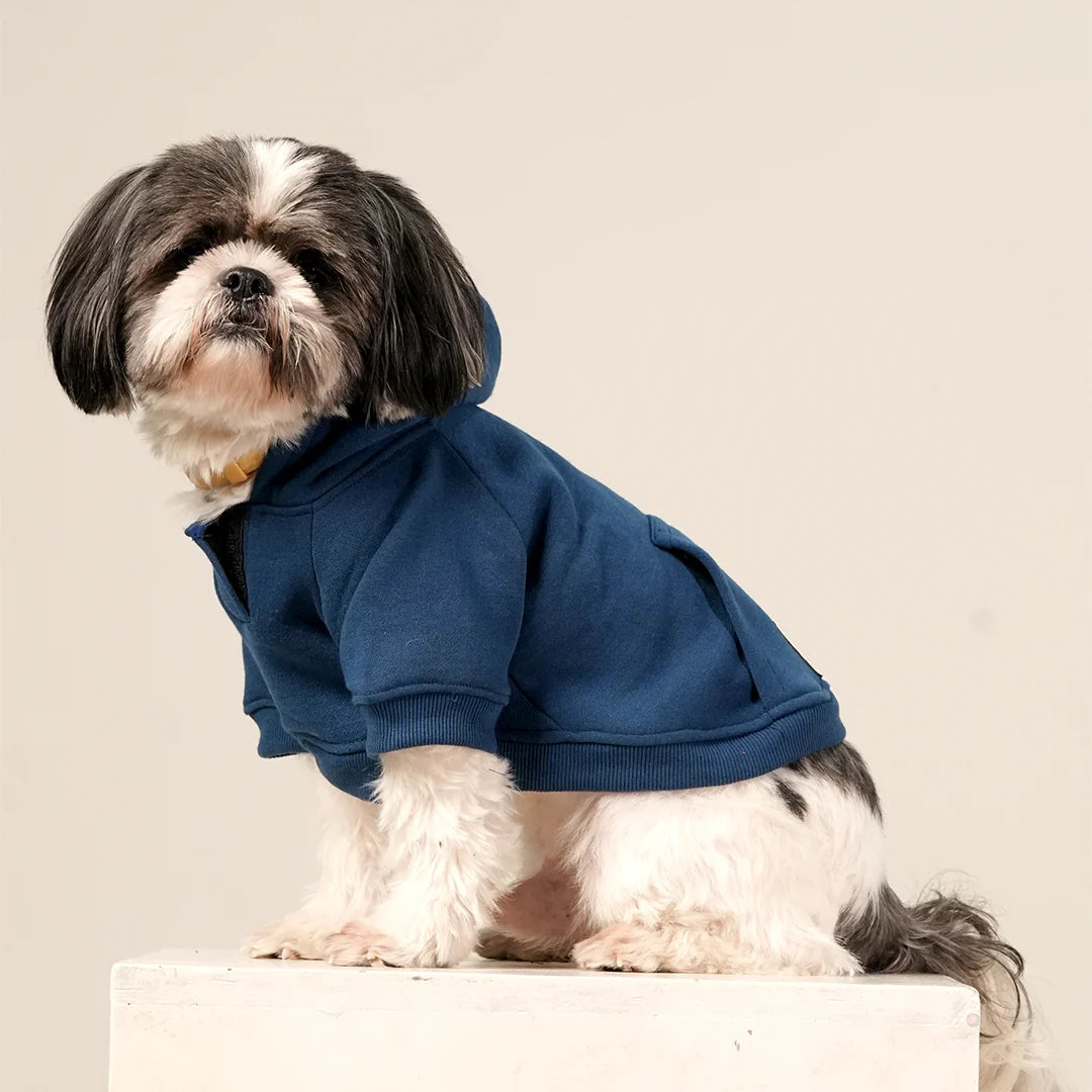 MidSky Lounge Hoodie | Cool Blue Winter Pet Hoodie