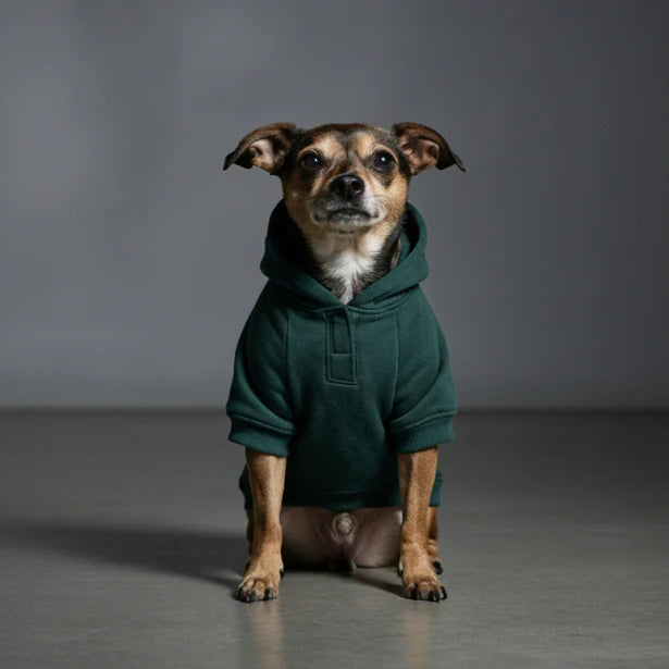 Olive Snug Hoodie | Cozy Olive Green Winter Pet Hoodie