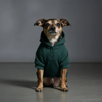Olive Snug Hoodie | Cozy Olive Green Winter Pet Hoodie