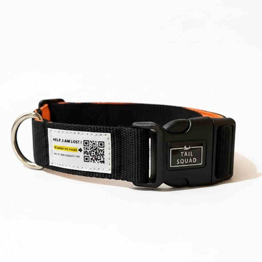 Pet Collar With QR Code | Smart ID Safety Collar For Dogs (Black)