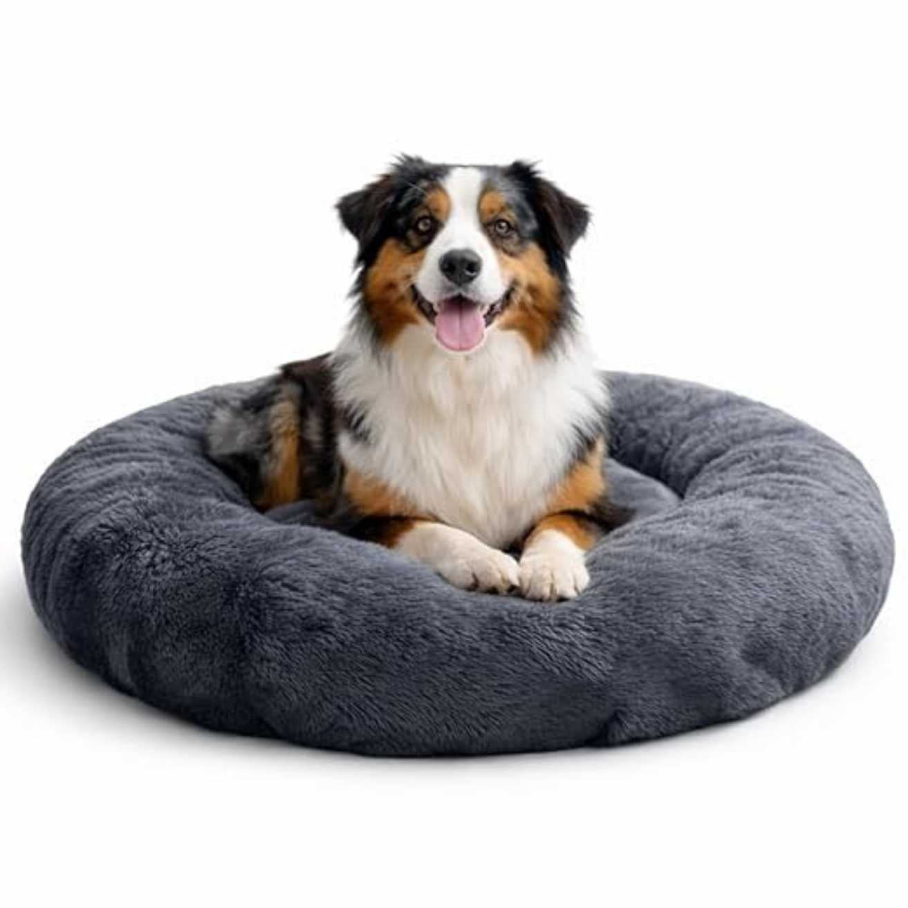 Summer Pet Bed for Dogs & Cats – Breathable & Comfortable