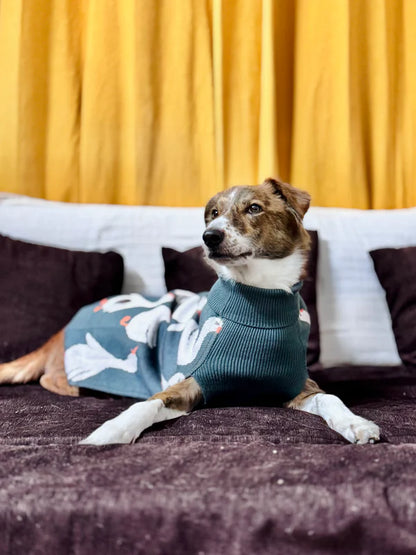Petsnugs Quack Cozy Knit Sweater for Dogs
